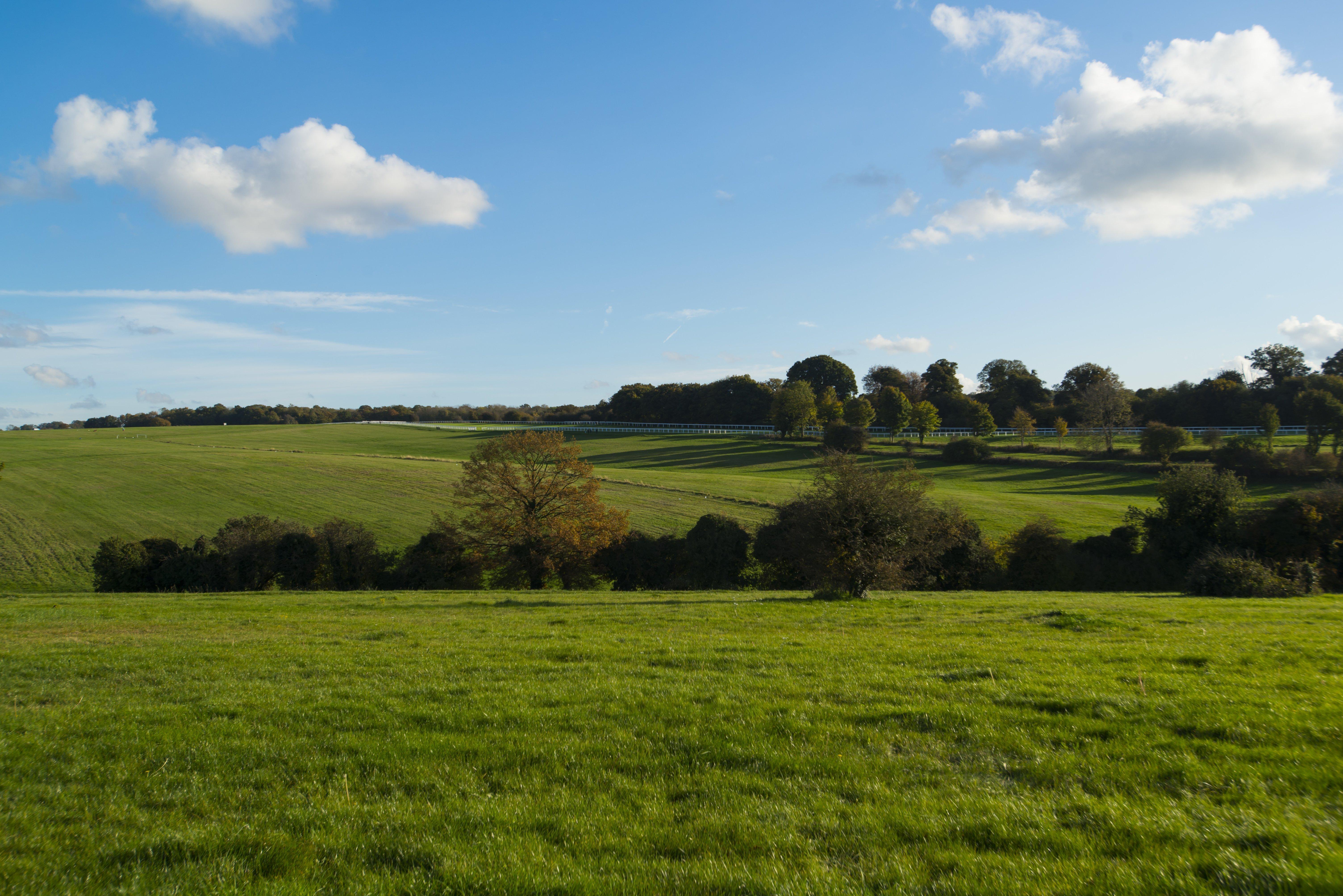 Holiday Inn Express London - Epsom Downs By Ihg Exteriér fotografie